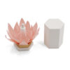 Coffret cadeau comprenant un flacon compte-gouttes « Lotus Petal » avec un couvercle texturé