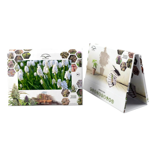 Videobrochure over cannabiszaden met uitklapbare displaystandaard