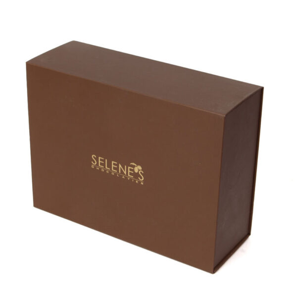 Hinged Chocolate Gift Box with Cocoa Pod Printed Lining