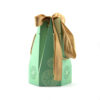 Mint Green Tapered Gift Bag with Gold Bow and Rope Handles